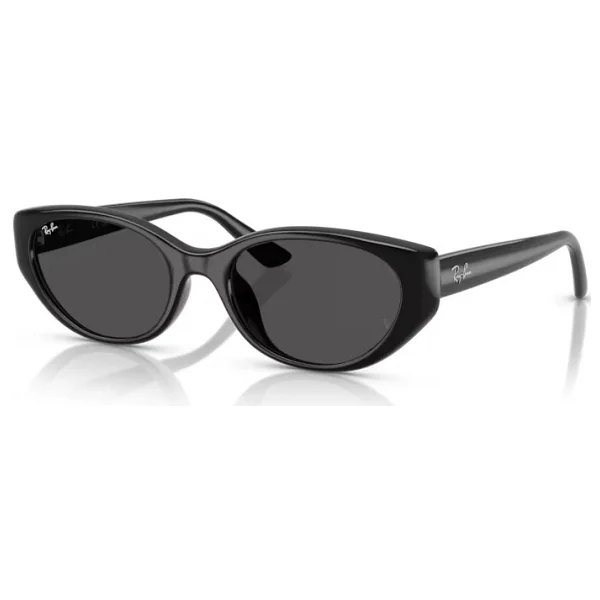 Ray-Ban 4457D 667787 Black-Dark Grey Güneş Gözlüğü - Görsel 9