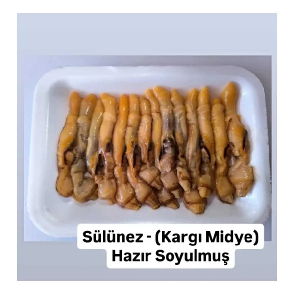 Hobimexpress Sülünez - ( Kargı Midye ) Hazır Soyulmuş - Tüm Balıklar Için Özel Yem - Görsel 2
