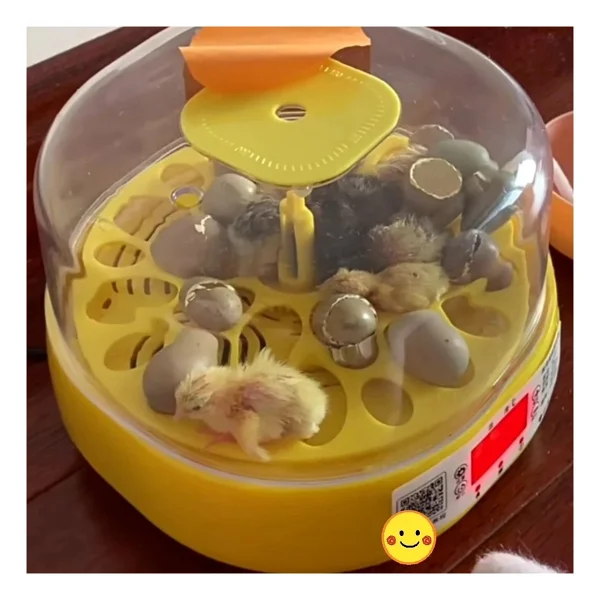 Mini Otomatik Ev Tipi Kuluçka: Papağan Bıldırcın Kuluçka Makinesi 18LI Yumurtalı Mx-18 ( Lisinya ) - Görsel 3