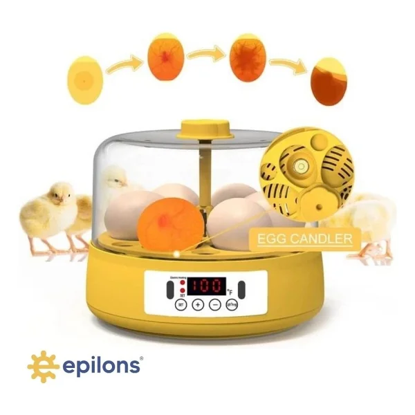 Mini Otomatik Ev Tipi Kuluçka: Papağan Bıldırcın Kuluçka Makinesi 18LI Yumurtalı Mx-18 ( Lisinya ) - Görsel 8