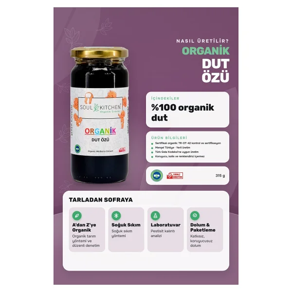 Soul Kitchen 315 gr Organik Dut Özü - Görsel 2
