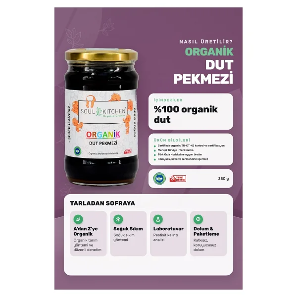 Soul Kitchen 380 gr Organik Dut Pekmezi - Görsel 2