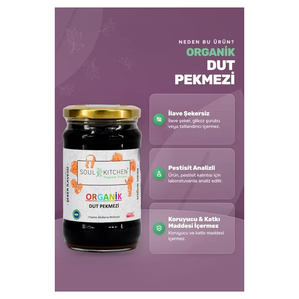 Soul Kitchen 380 gr Organik Dut Pekmezi - Görsel 4