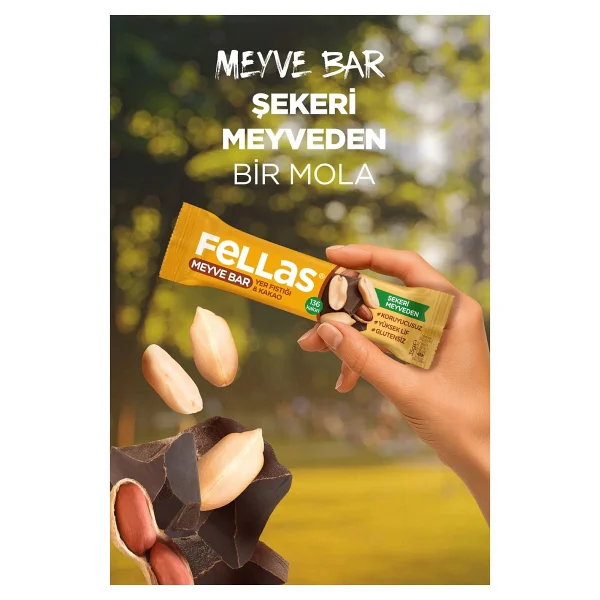 Fellas Yer Fıstıklı ve Kakaolu Meyve Bar 12x35 gr - Görsel 4