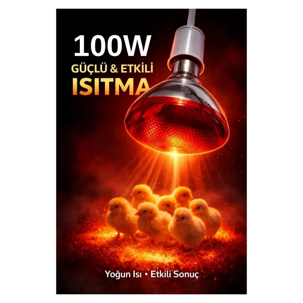 Eco Lounge 100W Isıtıcı Ampul Kırmızı Isı Lambası Civciv Kümes Kuluçka E27 Duy Isıtma Ampulü - Görsel 8