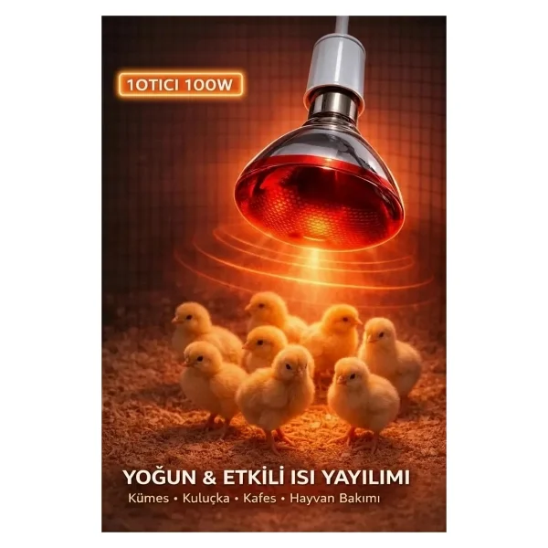 Eco Lounge 100W Isıtıcı Ampul Kırmızı Isı Lambası Civciv Kümes Kuluçka E27 Duy Isıtma Ampulü - Görsel 5