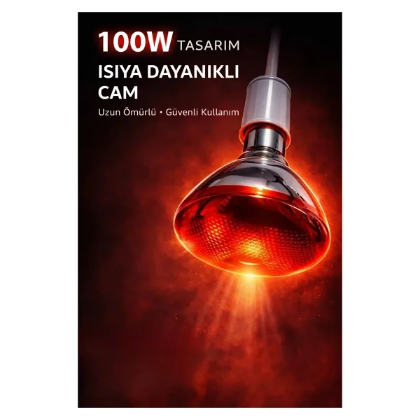 Eco Lounge 100W Isıtıcı Ampul Kırmızı Isı Lambası Civciv Kümes Kuluçka E27 Duy Isıtma Ampulü - Görsel 7