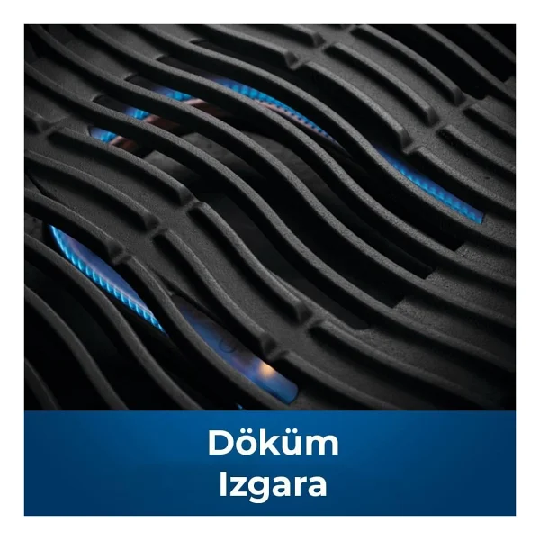 Napoleon Travelq Pro285 Portatif Gazlı Mangal - Görsel 4