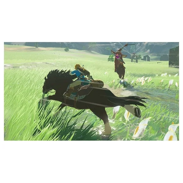 The Legend of Zelda Breath of the Wild Nintendo Switch Oyunu - Görsel 4