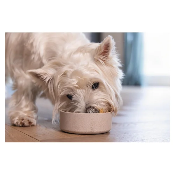 Beeztees Dbl Köpek Mama Su Kabı, Bambu, Bej, 12Cm, 300Ml - Görsel 2