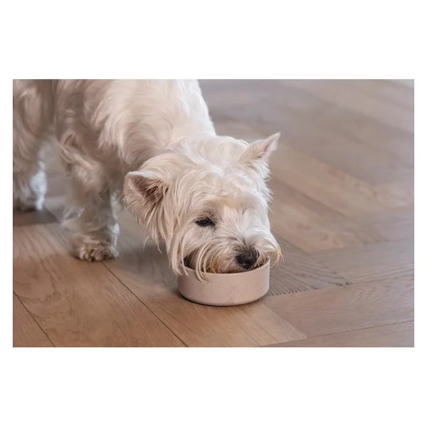 Beeztees Dbl Köpek Mama Su Kabı, Bambu, Bej, 12Cm, 300Ml - Görsel 3