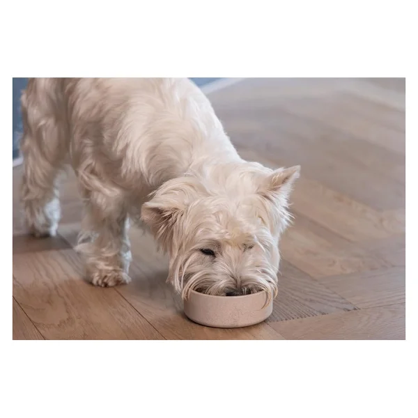 Beeztees Dbl Köpek Mama Su Kabı, Bambu, Bej, 12Cm, 300Ml - Görsel 5