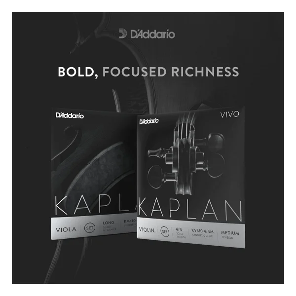 D'Addario Kaplan Vivo KV310 4/4M Keman Teli - Görsel 5