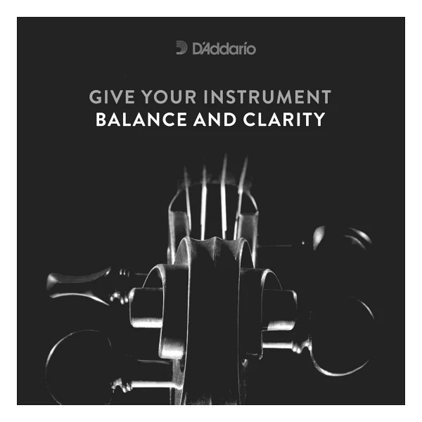 D'Addario Kaplan Vivo KV310 4/4M Keman Teli - Görsel 6