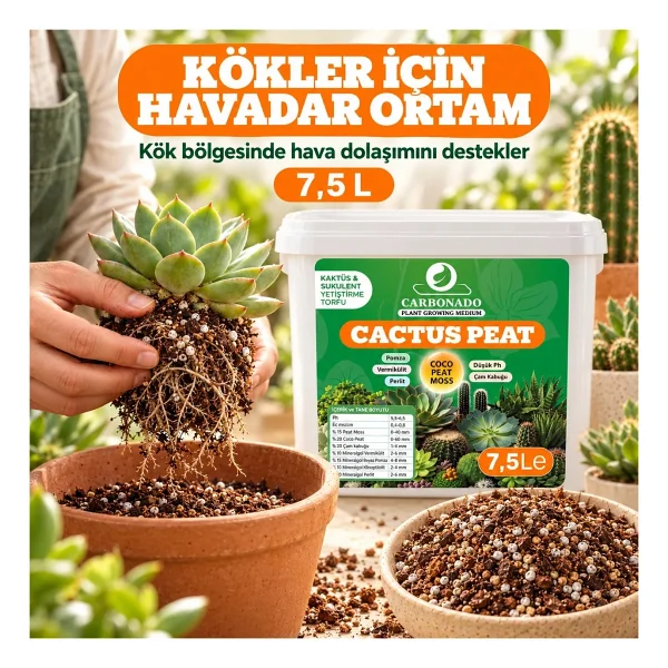 Cactus Peat 7,5 Litre Kaktüs ve Sukulent Yetiştirme Torfu - Görsel 7