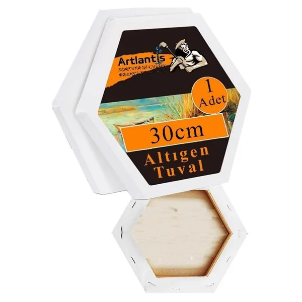 Kare Yuvarlak Ve Altıgen Tuval 30 Cm 1 Paket 30X30 Cm Arkadan Zımbalı Astarlı Resim Tuvali Akrilik Yağlı Boya Altıgen - Görsel 2