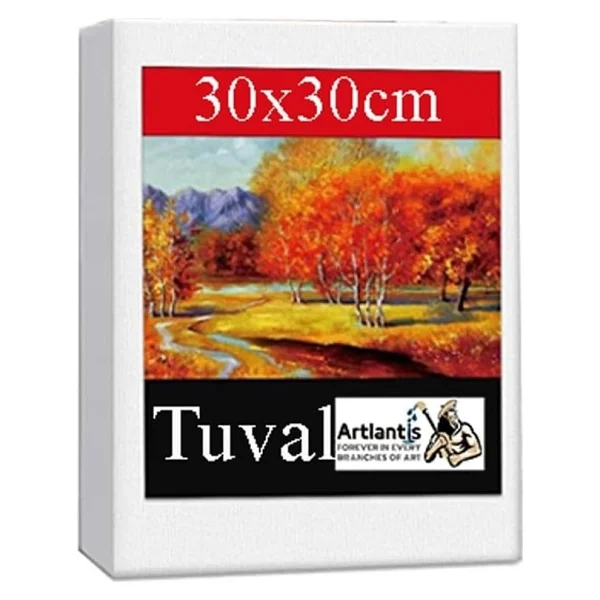 Kare Yuvarlak Ve Altıgen Tuval 30 Cm 1 Paket 30X30 Cm Arkadan Zımbalı Astarlı Resim Tuvali Akrilik Yağlı Boya Altıgen - Görsel 4
