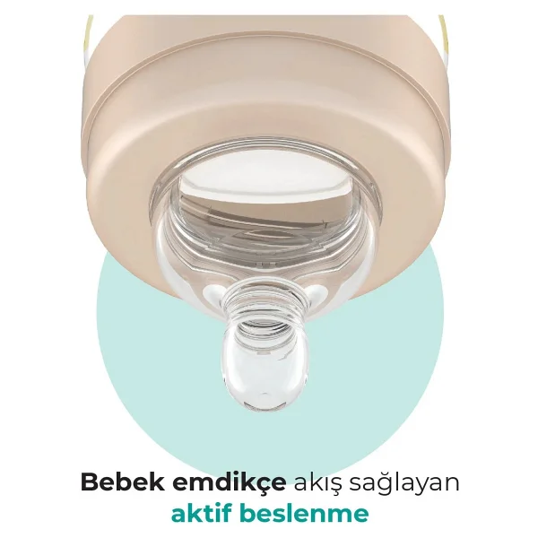 Mamajoo Gold Plus Antikolik Yenidoğan Yavaş Akış Biberon 150 ml - Görsel 6