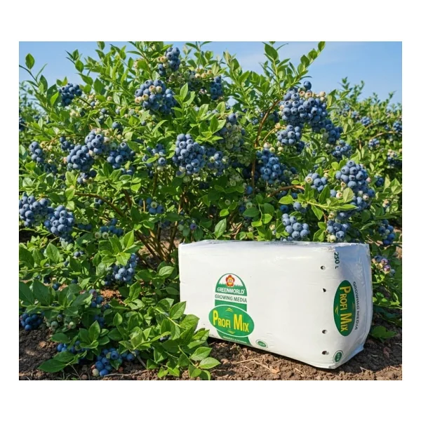 Profi Mix 250 Lt Profimix Ithal Blueberry Yaban Mersini Torfu - Ph 3,5 - 4,2 Asidik Toprak 0-40 Mm - Görsel 3