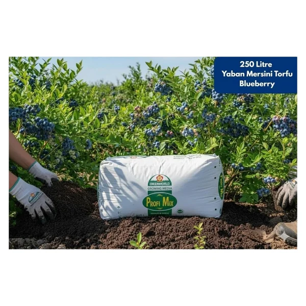 Profi Mix 250 Lt Profimix Ithal Blueberry Yaban Mersini Torfu - Ph 3,5 - 4,2 Asidik Toprak 0-40 Mm - Görsel 4