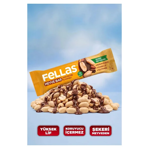 Fellas Yer Fıstıklı ve Kakaolu Meyve Bar 12x35 gr - Görsel 6