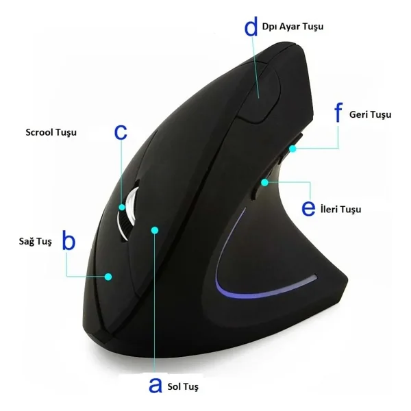 Triline Kablosuz Ergonomik Dikey Mouse - Görsel 7