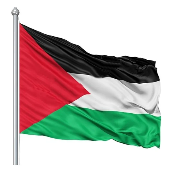 Bayrakal Filistin Bayrağı Palestine Flag 200 x 300 cm - Görsel 3