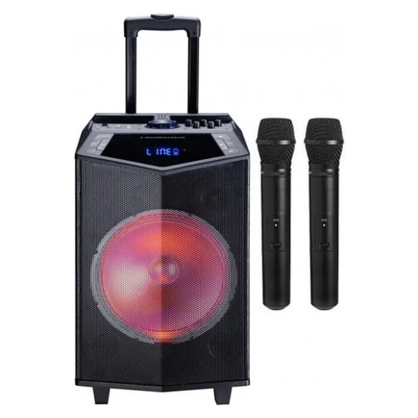 Oyility DK-12 300 W Taşınabilir Mikrofonlu Hoparlör - Görsel 4