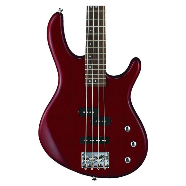 Cort AB4PJOPW 4 Telli Bas Gitar - Görsel 2