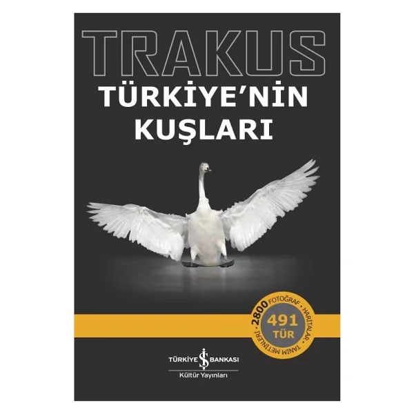 Trakus - Türkiye'nin Kuşları - Kolektif - Görsel 7