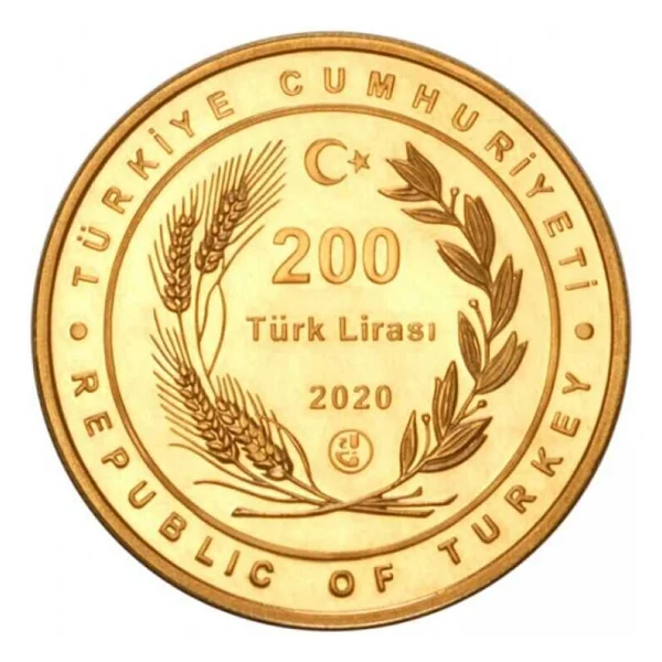 Agakulche Altın Ayasofya 916 22 Ayar Hatıra Para - Görsel 2