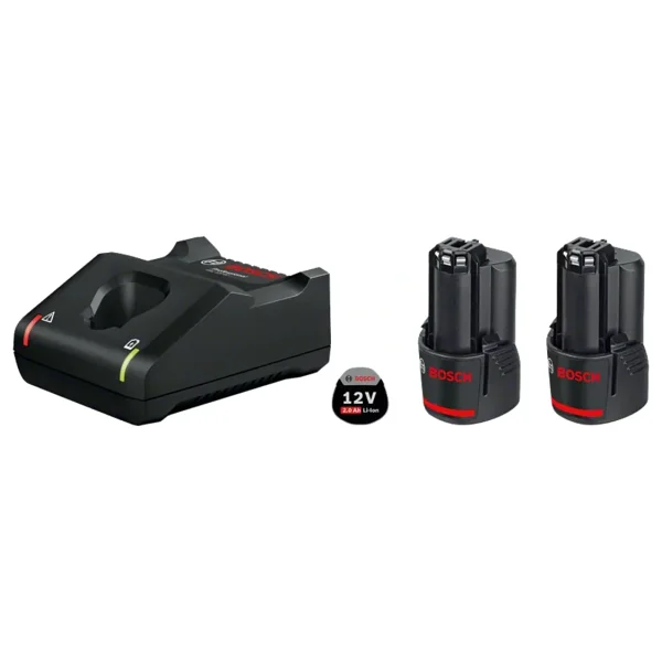 Bosch 2 x GBA 12 V 2 Ah Yedek Akü + GAL 12V-40 Şarj Cihazı - Görsel 2