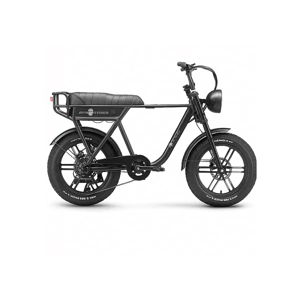 Ape Ryder A10 250 W 2 Kişilik Elektrikli Bisiklet - Görsel 3
