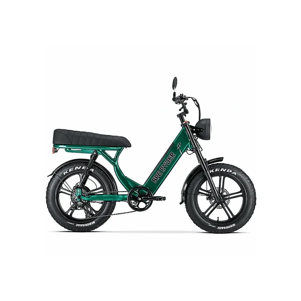 Ape Ryder MD10 250 W İki Kişilik Elektrikli Bisiklet - Görsel 8
