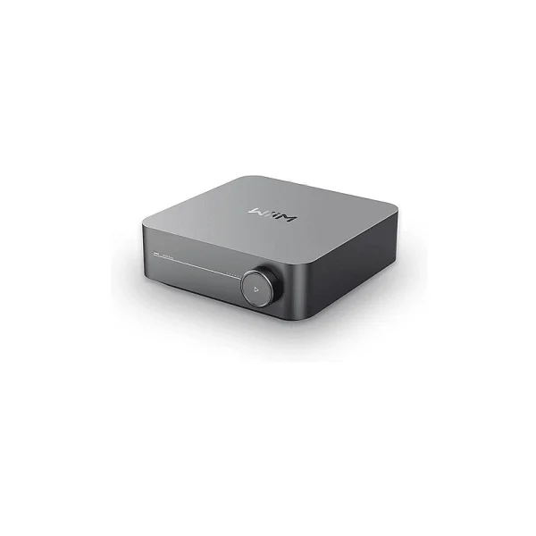 Wiim Amp Amplifikatör - Görsel 6