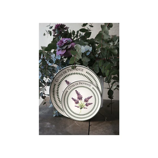 The Mia Provence PRC0004 26 cm 6'lı Servis Tabağı - Görsel 5