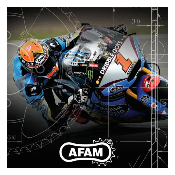 Afam A520-120xsr-G 2017-2022 Bajaj Dominar 400 Uyumlu Zincir Xsr-G Xring Gold Renk - Görsel 8