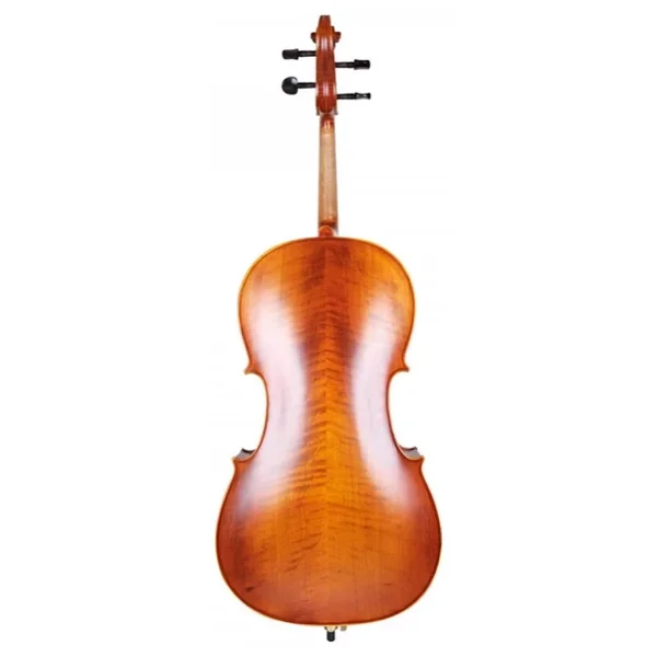 Carlovy Cla9 4/4 Çello - Görsel 6