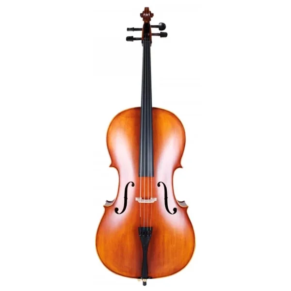 Carlovy Cla9 4/4 Çello - Görsel 5