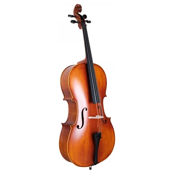 Carlovy Cla9 4/4 Çello - Görsel 7