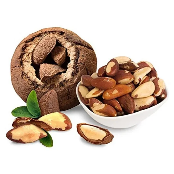 Organik Bitkim Brezilya Cevizi 100 Gr - Görsel 7