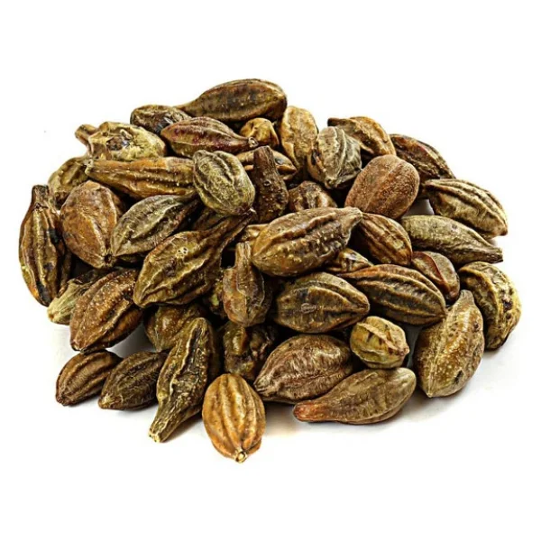 Organik Bitkim Sarı Halile Çekirdeği 1 Kg - Görsel 6