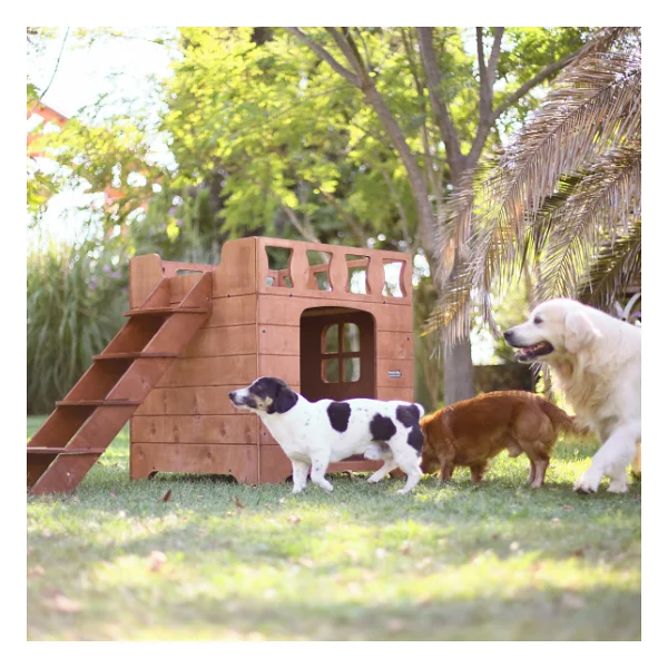 Mandu Dublex Teraslı Ahşap Köpek Kulübesi - Görsel 4