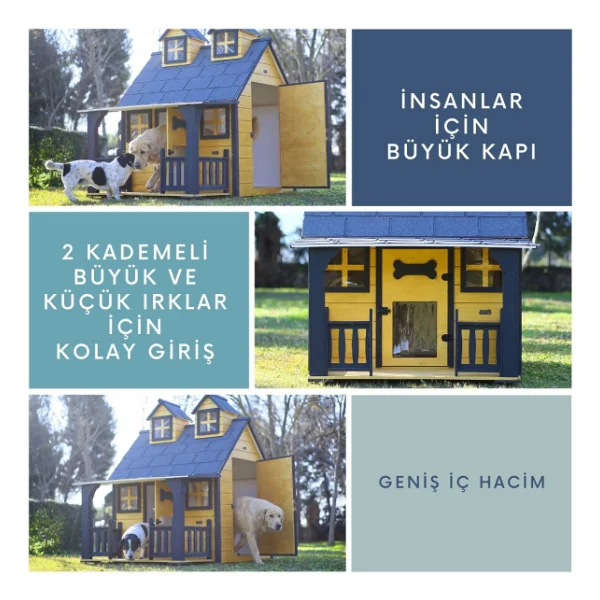 Mandu Ultra Lüks Gold Edition Ahşap Köpek Kulübesi - Görsel 6