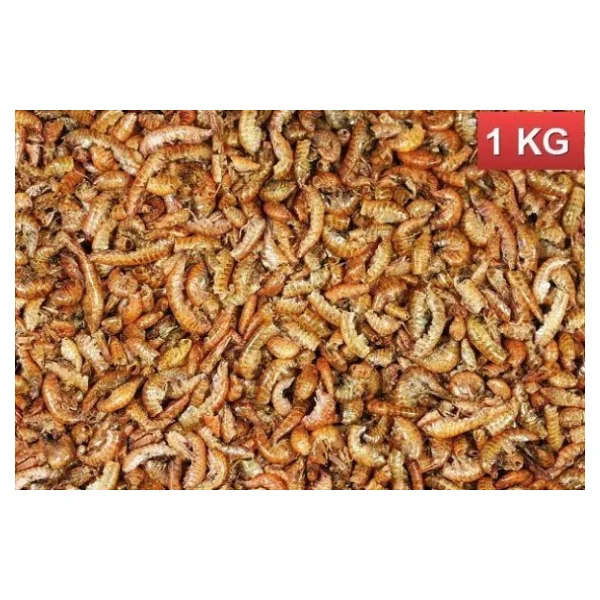 Rotifish Kurutulmuş Gammarus (Karides) 1 Kg - Görsel 2