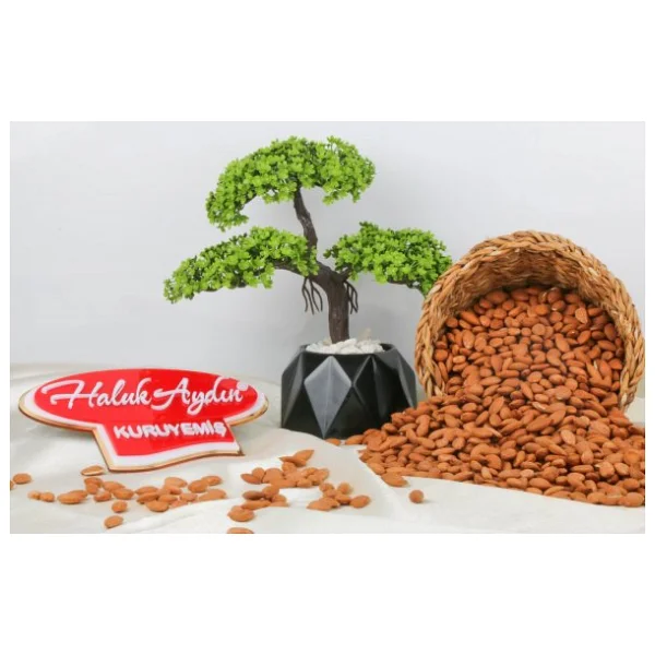 Haluk Aydın Kuruyemiş Çiğ Kayısı Çekirdeği 1 Kg - Görsel 4