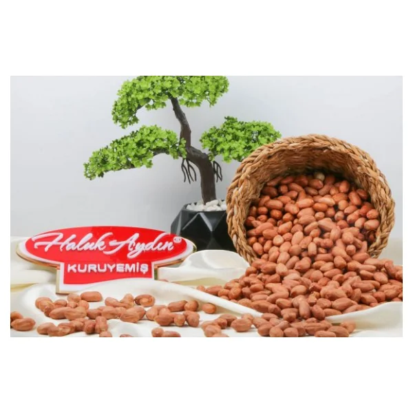 Haluk Aydın Kuruyemiş Çiğ Fıstık İçi 1 Kg - Görsel 4