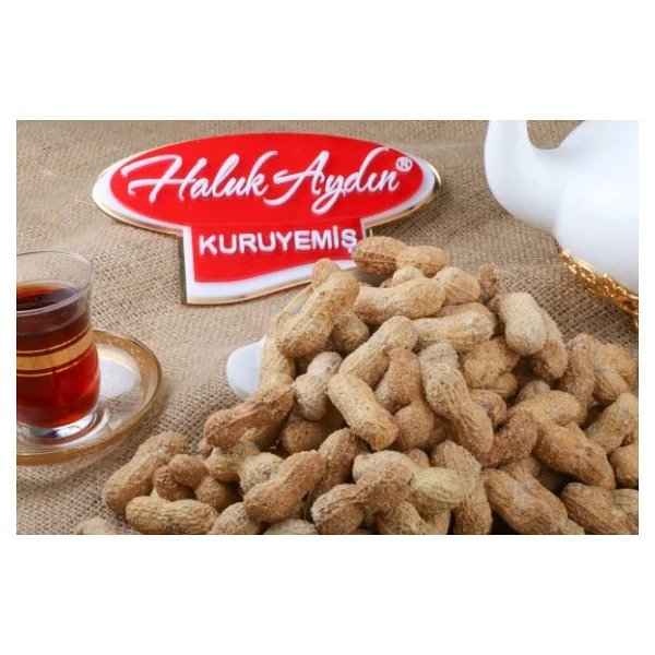 Haluk Aydın Kuruyemiş Kabuklu Tuzlu Fıstık 1 Kg - Görsel 3