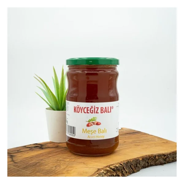 Köyceğiz Meşe Balı 850 Gr Cam - Görsel 3