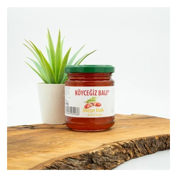 Köyceğiz Meşe Balı 250 Gr Cam - Görsel 3
